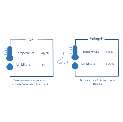 Schema de variație a temperaturii și umidității.
