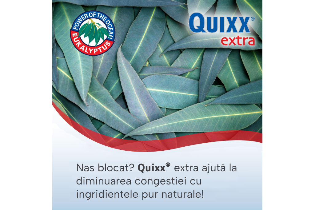 Frunze de eucalipt